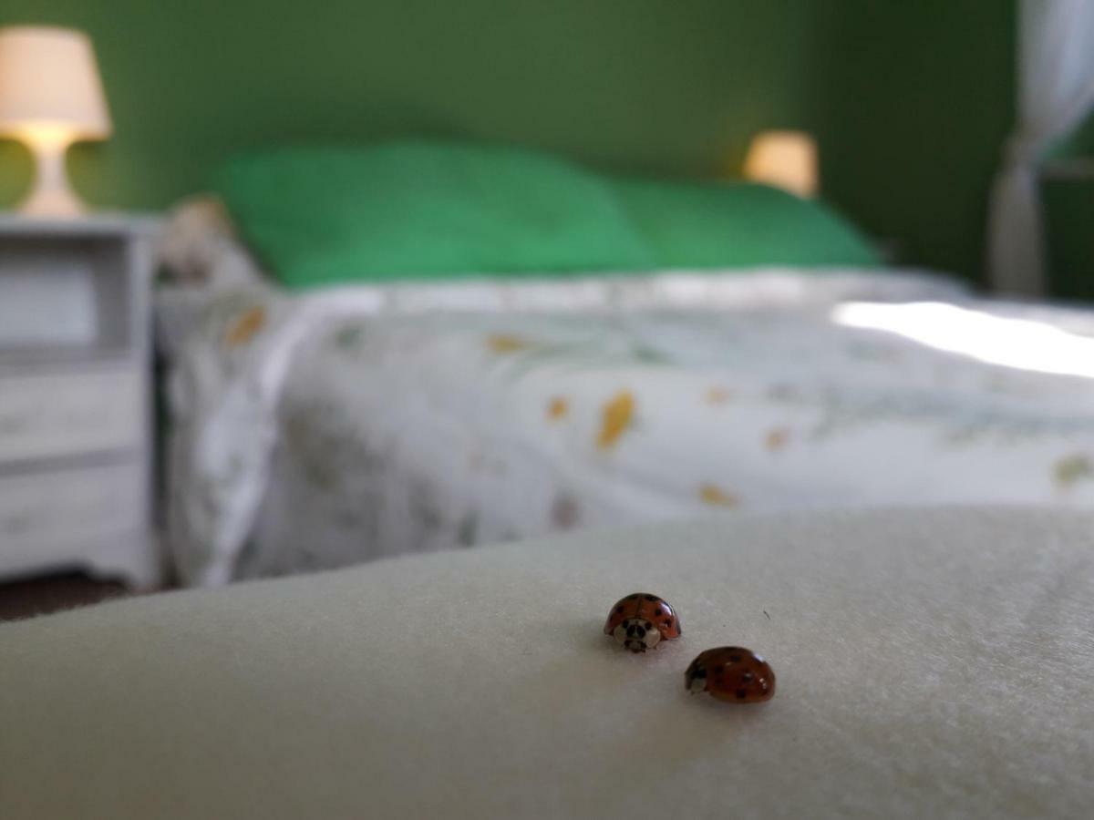 Alle Preci Country House Santa Restituta 외부 사진