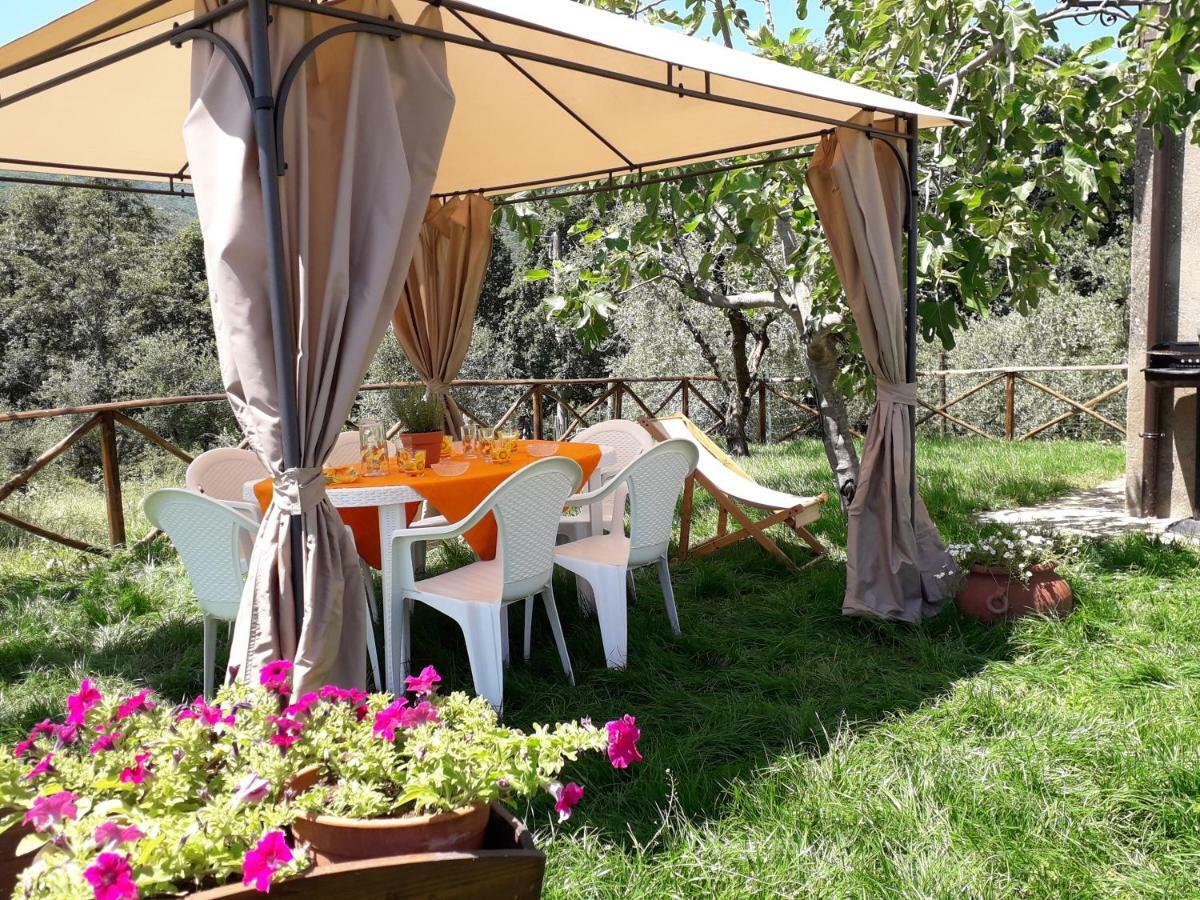 Alle Preci Country House Santa Restituta 외부 사진