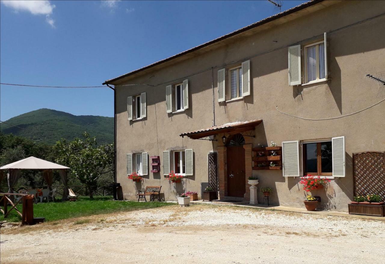 Alle Preci Country House Santa Restituta 외부 사진